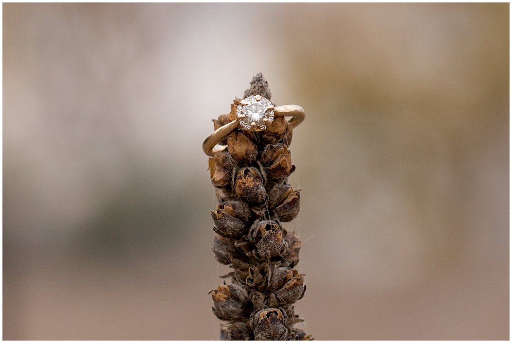 fall engagement session by central nebraska wedding photographer