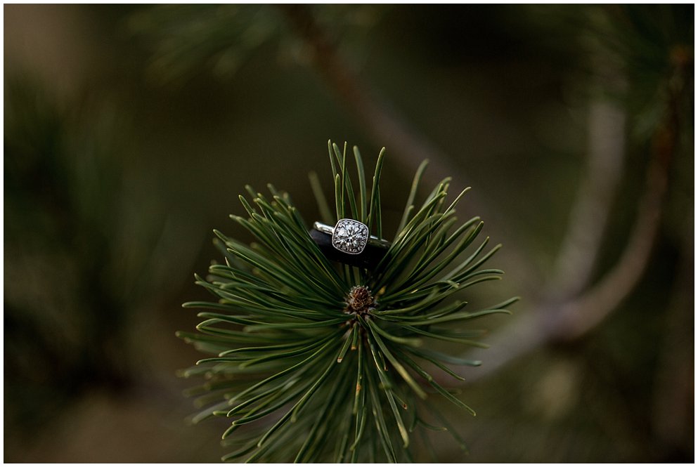 Courthouse wedding in Cheyenne, Wyoming by norther colorado Wedding Photographer