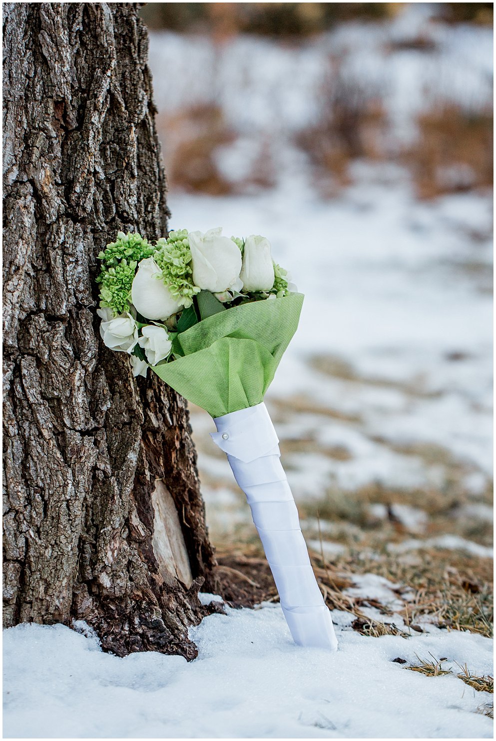 Courthouse wedding in Cheyenne, Wyoming by norther colorado Wedding Photographer