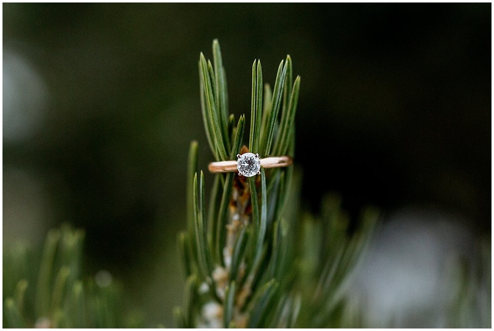 Loveland engagement session by Northern Colorado Photographer