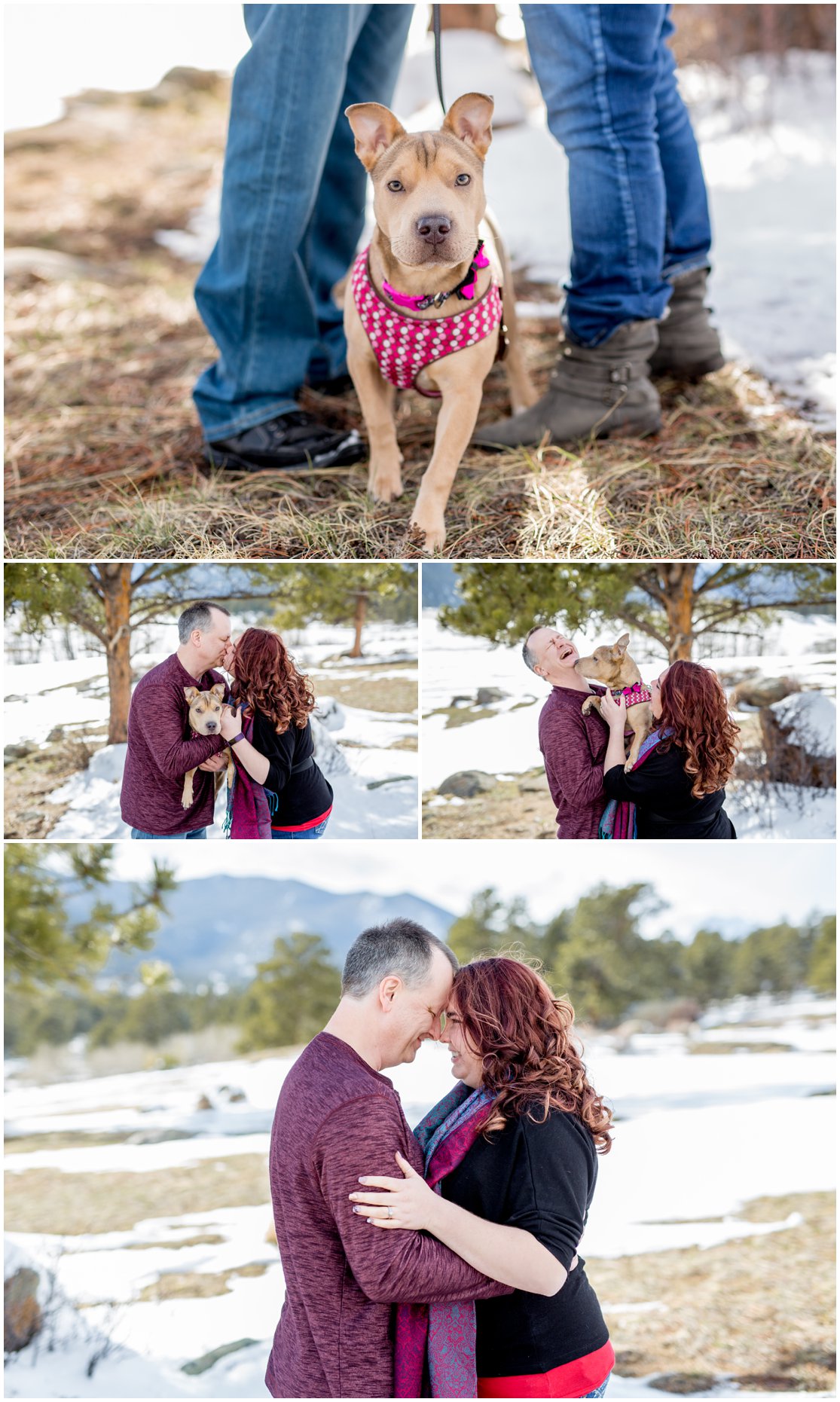 Engagement session in Rocky Mountain National Park by Northern Colorado Wedding Photographer