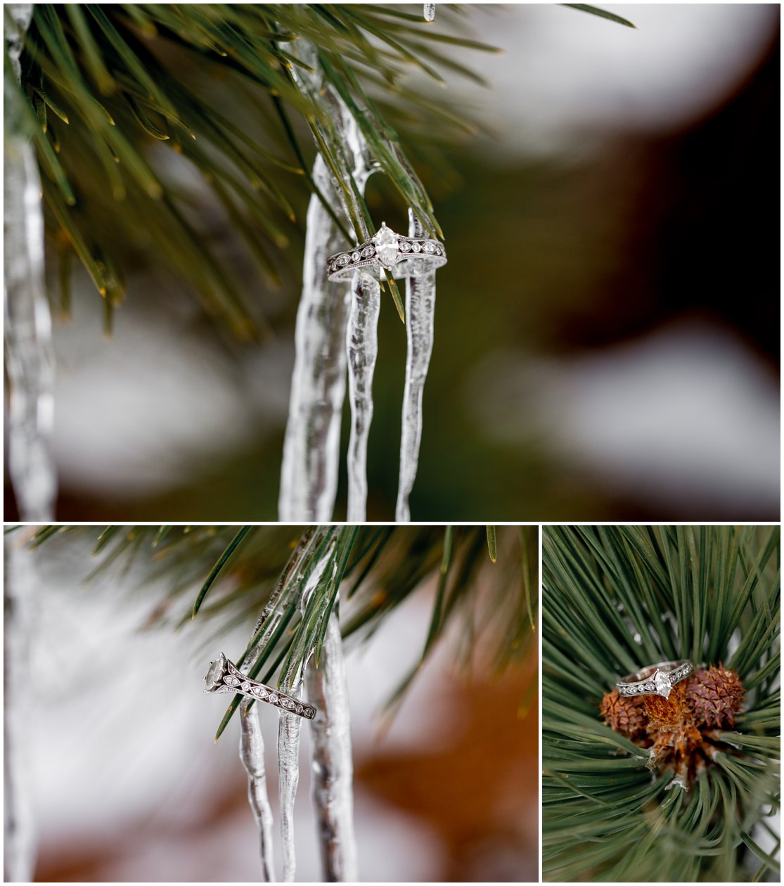 Engagement session in Rocky Mountain National Park by Northern Colorado Wedding Photographer