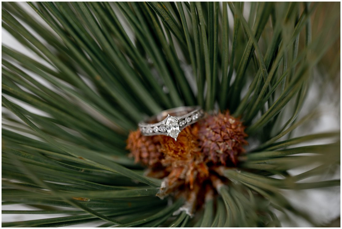 Engagement session in Rocky Mountain National Park by Northern Colorado Wedding Photographer