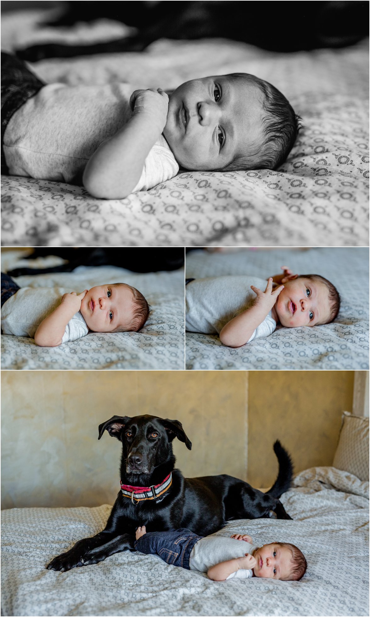 Nebraska Lifestyle Newborn Session by Northern Colorado Photographer 
