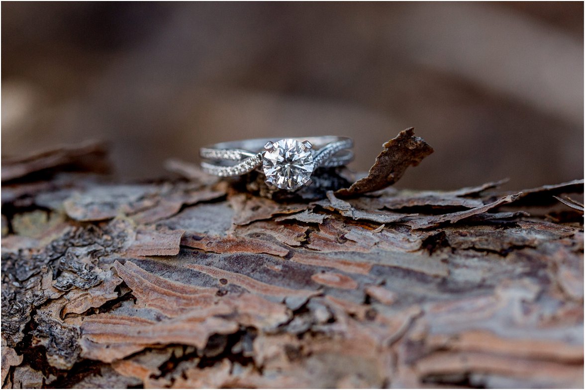 Rocky Mountain National Park Engagement Session by Greeley, Colorado Wedding Photographer 