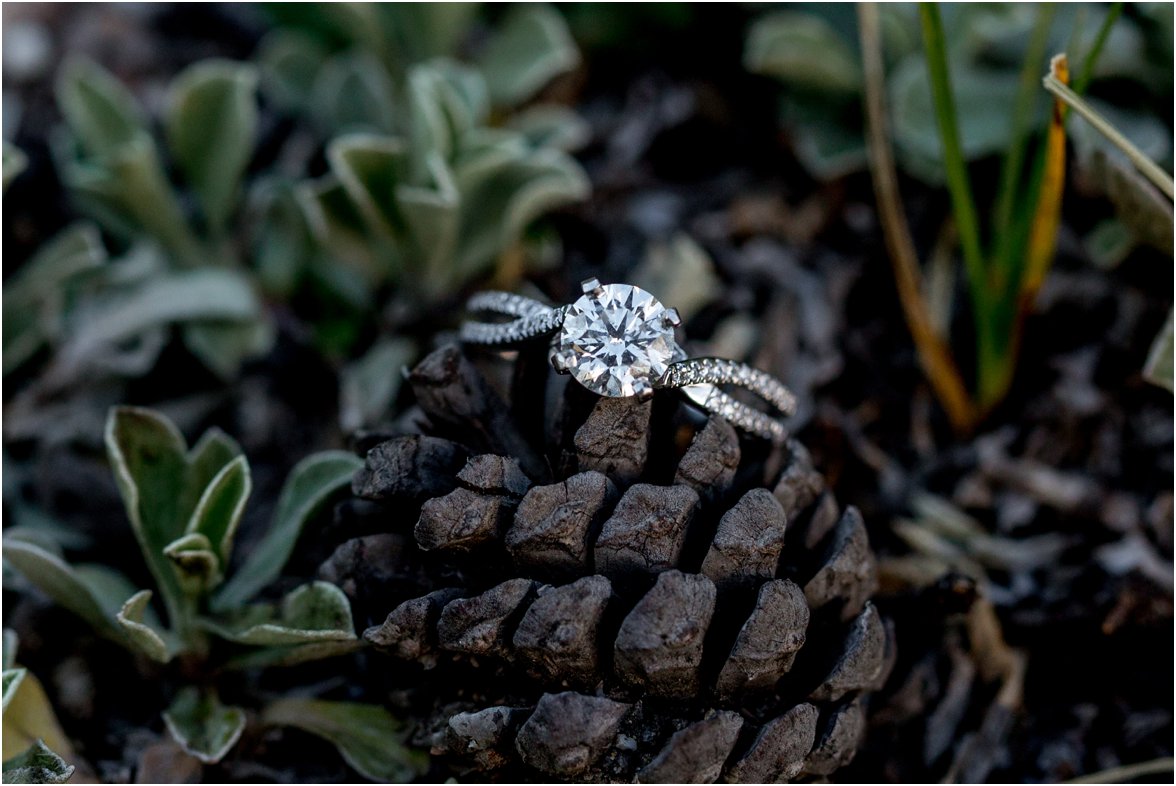 Rocky Mountain National Park Engagement Session by Greeley, Colorado Wedding Photographer 