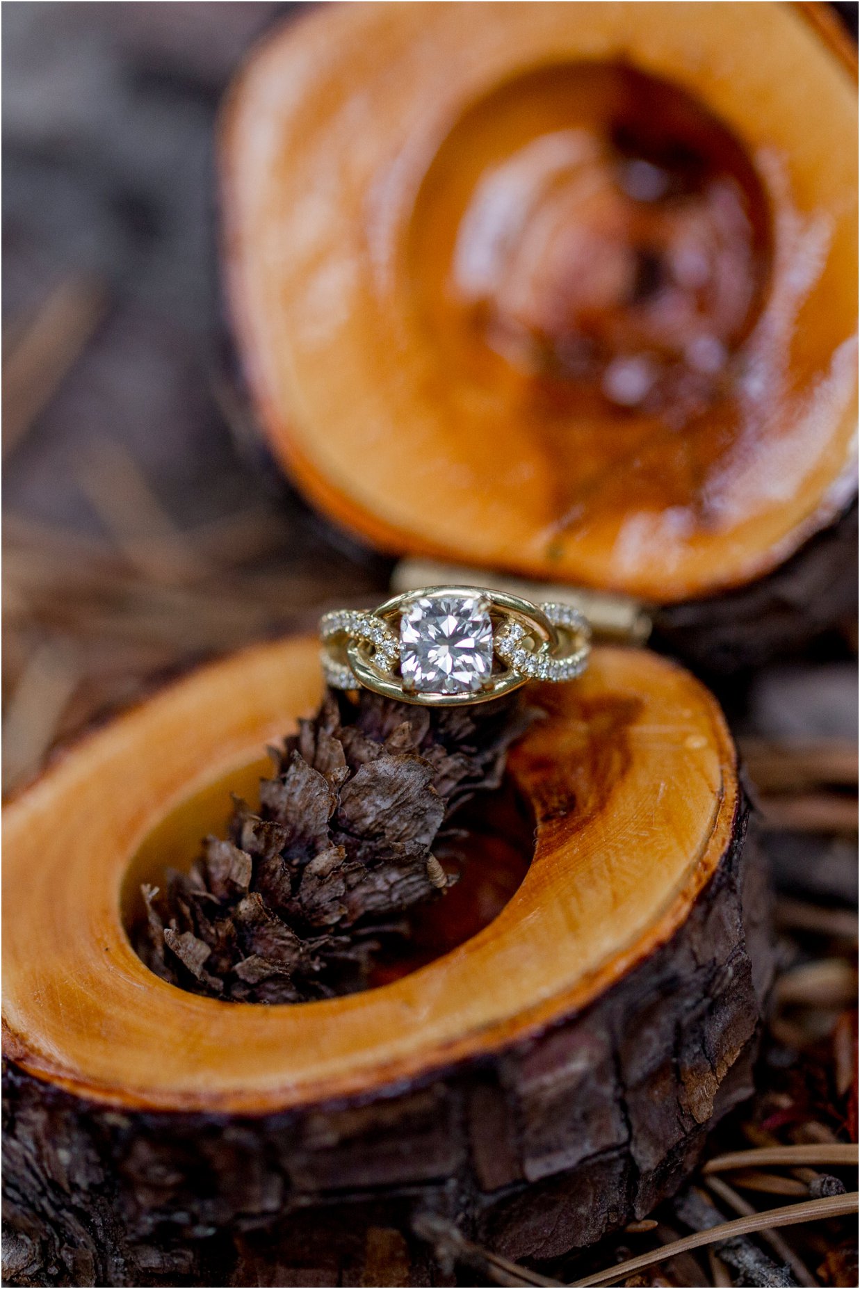 Golden, Colorado Engagement Session in Kenosha Pass by Greeley, Colorado Wedding Photographer