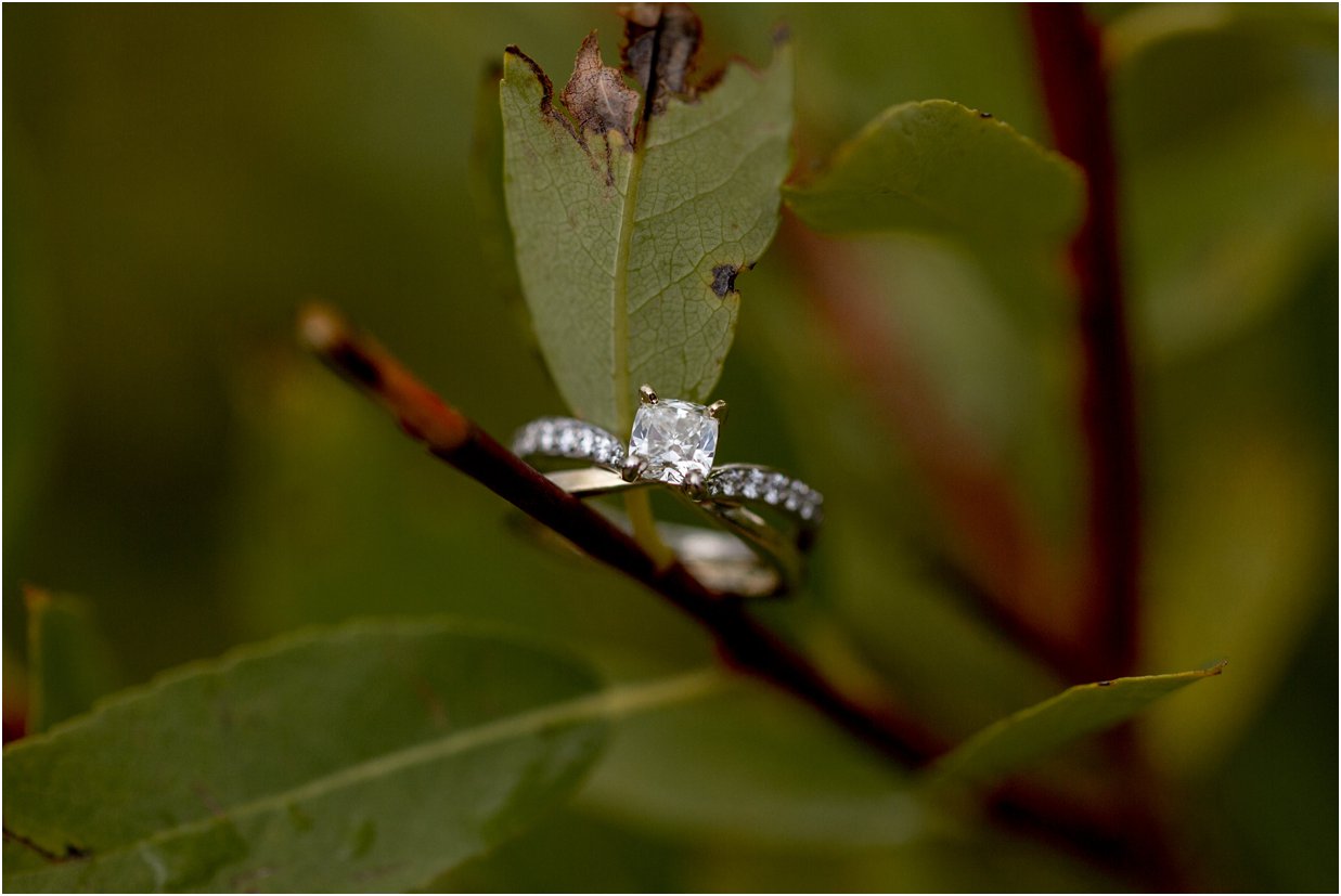  Rocky Mountain National Park Engagement Session by Greeley, Colorado Wedding Photographer