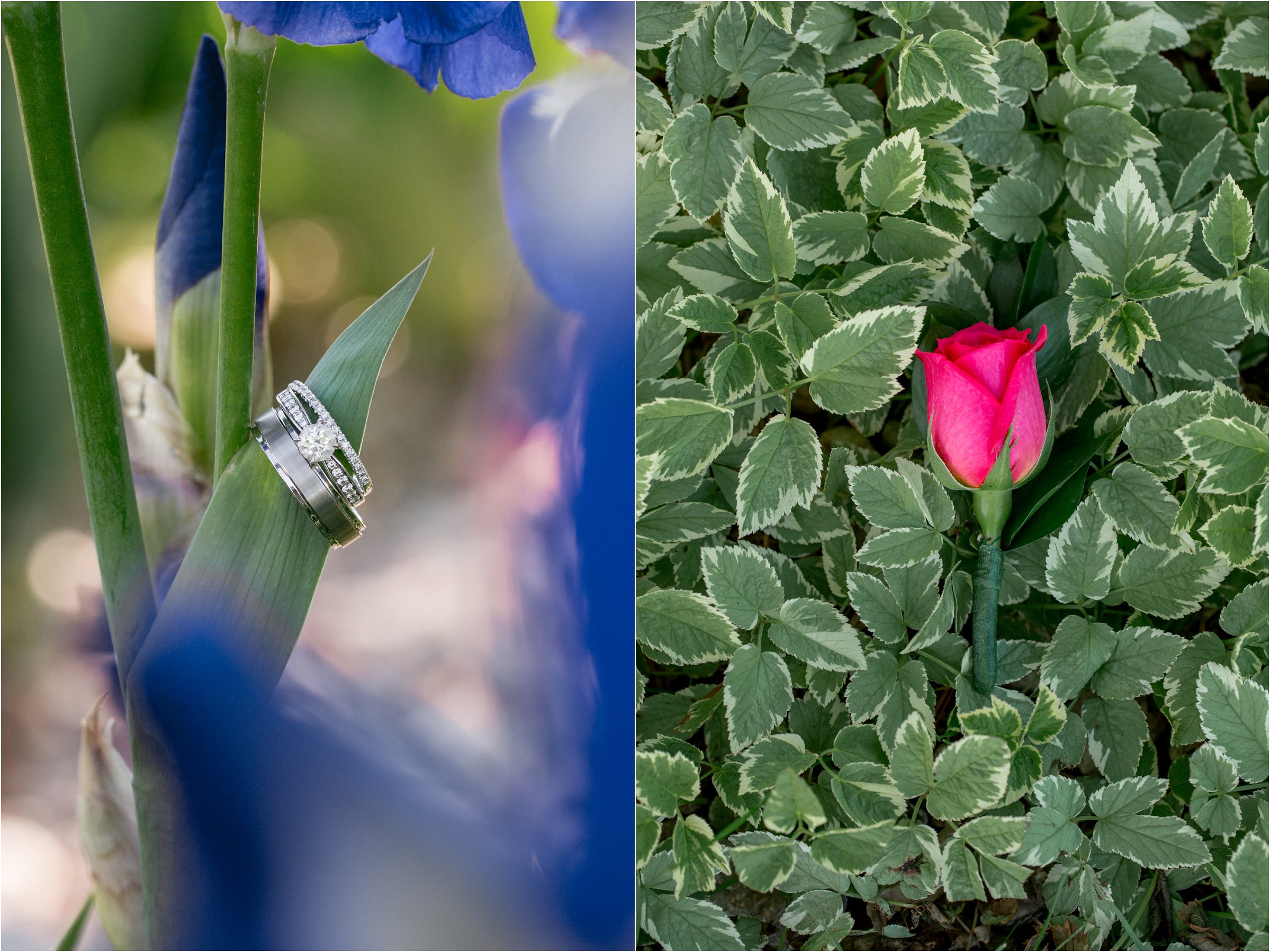 Greeley, Colrado Wedding by Northern Colorado Wedding Photographer