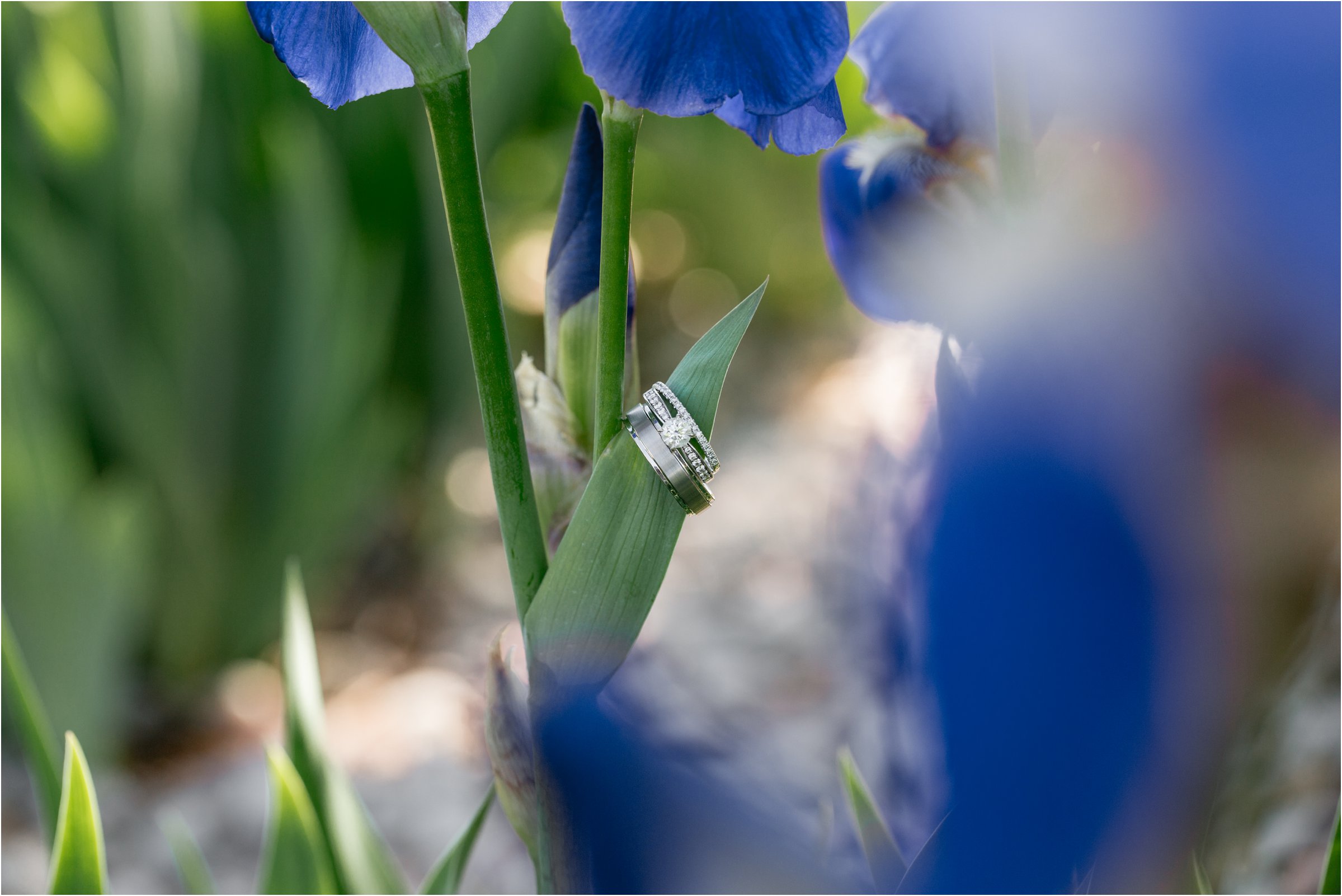 Greeley, Colrado Wedding by Northern Colorado Wedding Photographer