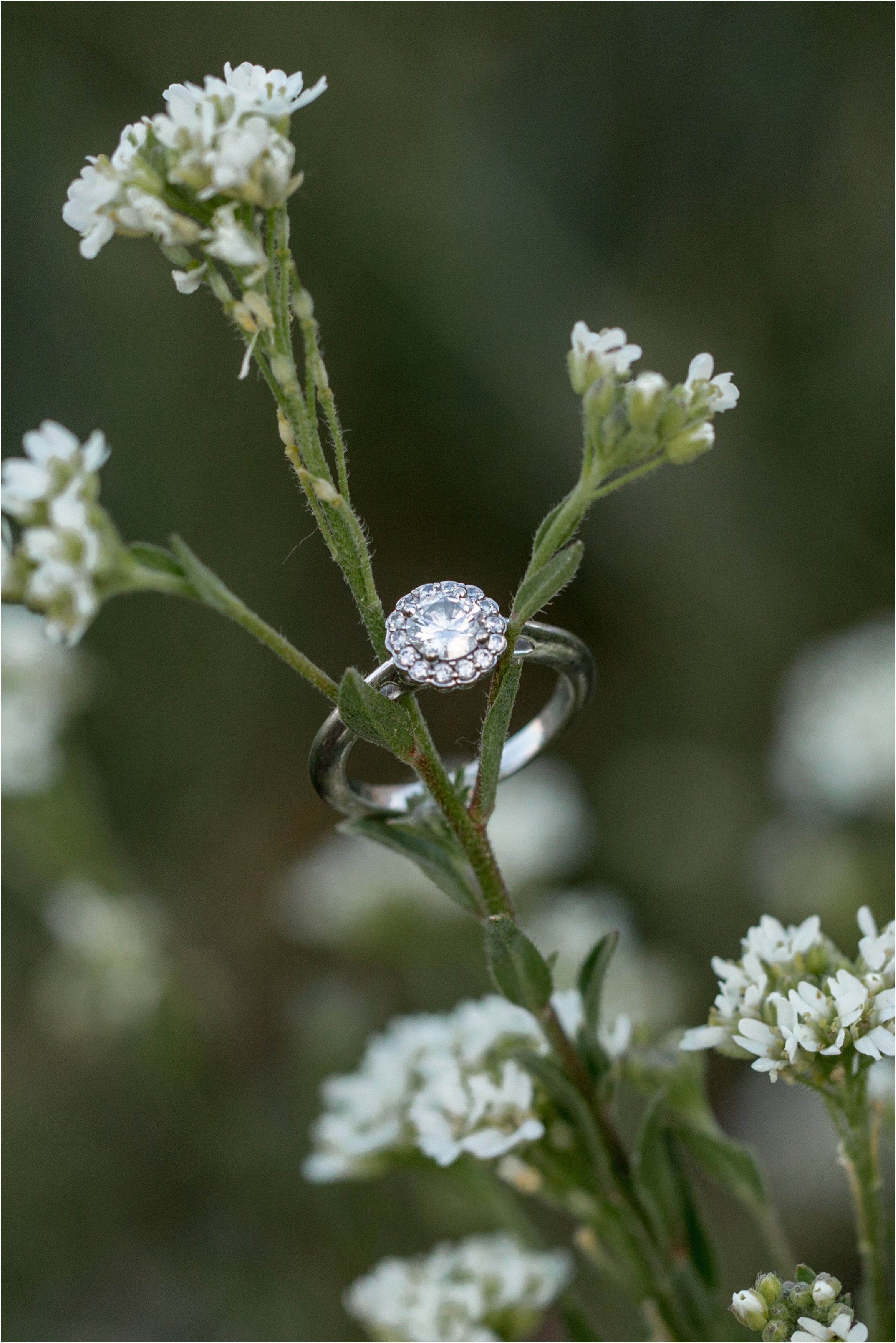 Cheyenne, Wyoming Engagement Session at Curt Gowdy State Park by Norther Colorado Wedding Photographer 