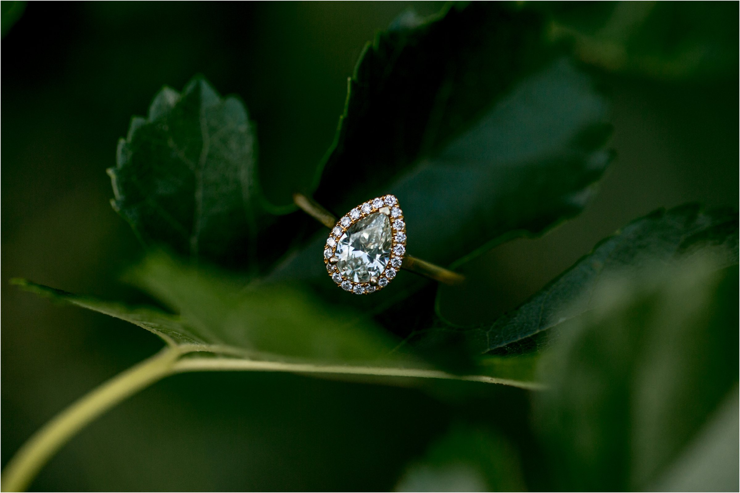 Lincoln, Nebraska Engagement Session at Pioneers Park by Greeley, Colorado Wedding Photographer