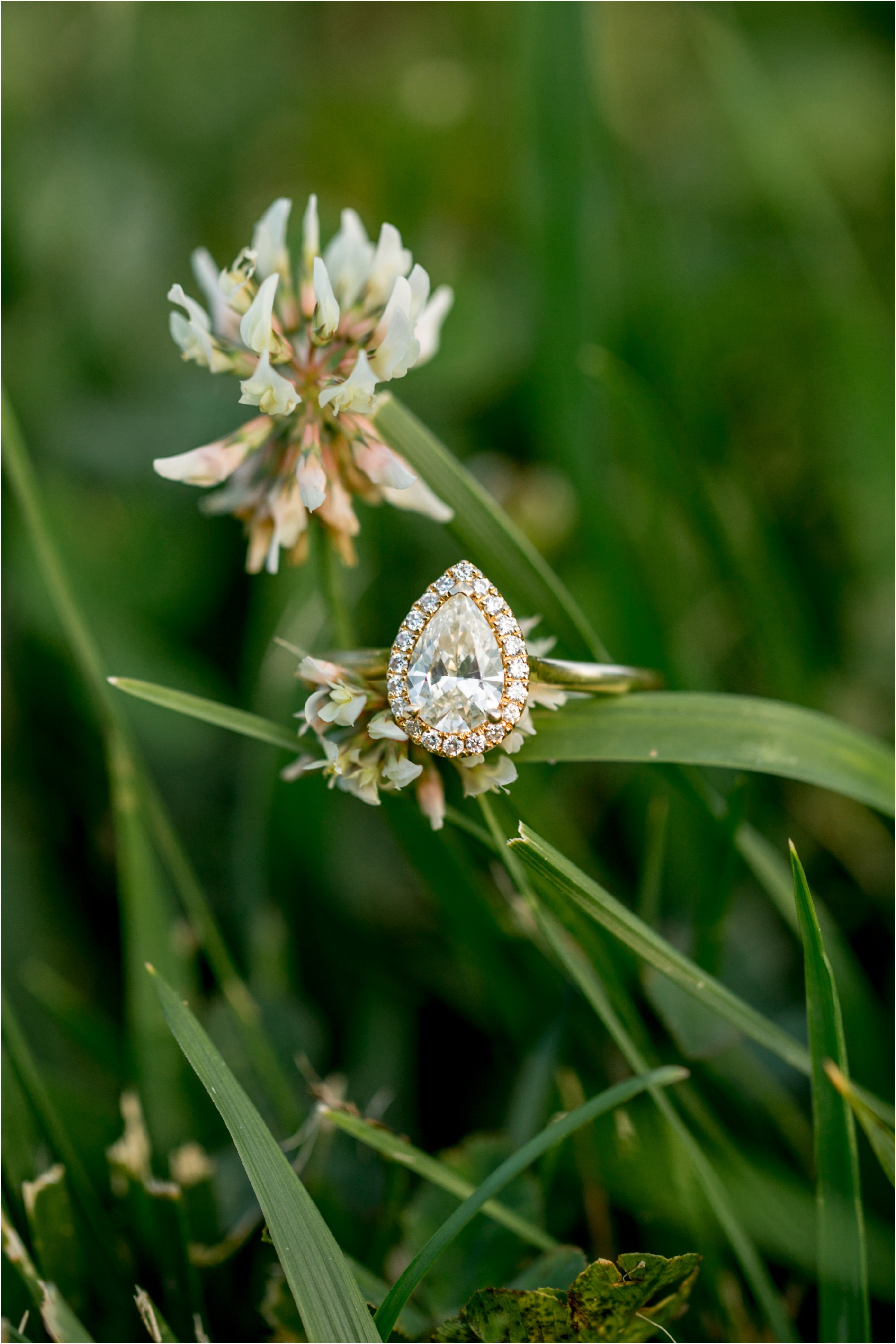 Lincoln, Nebraska Engagement Session at Pioneers Park by Greeley, Colorado Wedding Photographer