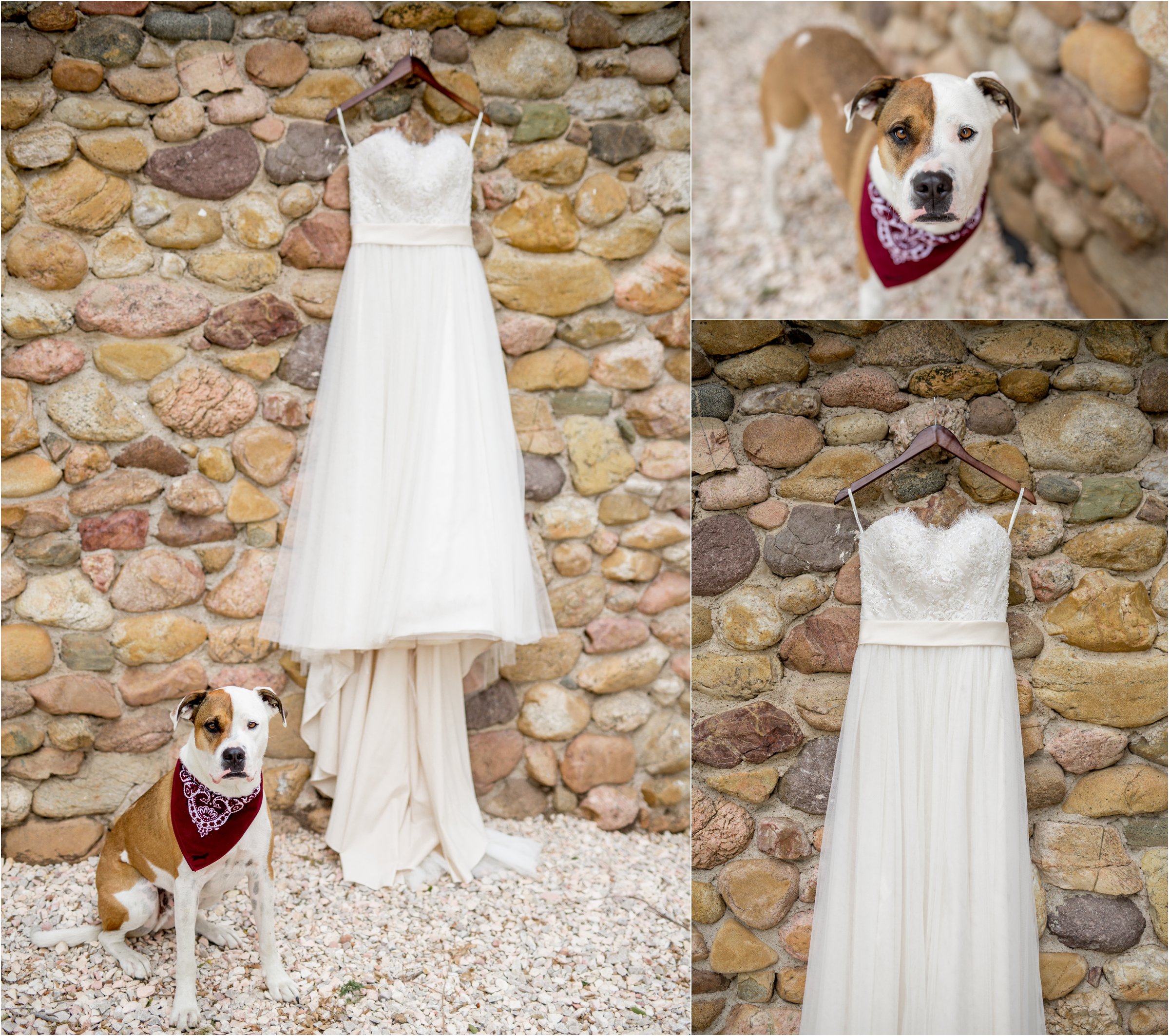 the bride's wedding dress along with the bride and groom's dog against a stone wall