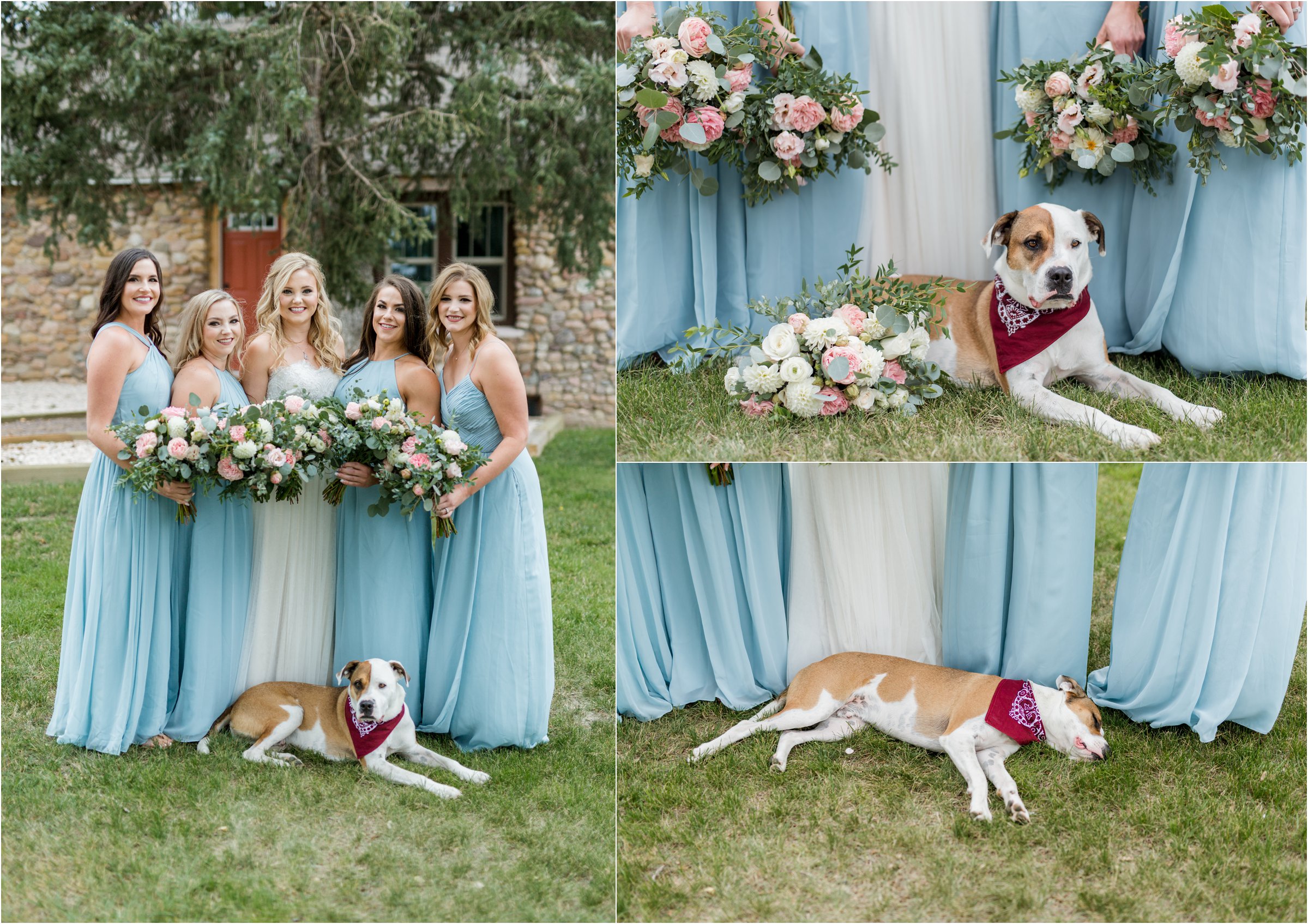 the bride and groom's dog lying on the ground in front of the bride and her bridesmaids with floral bouquets