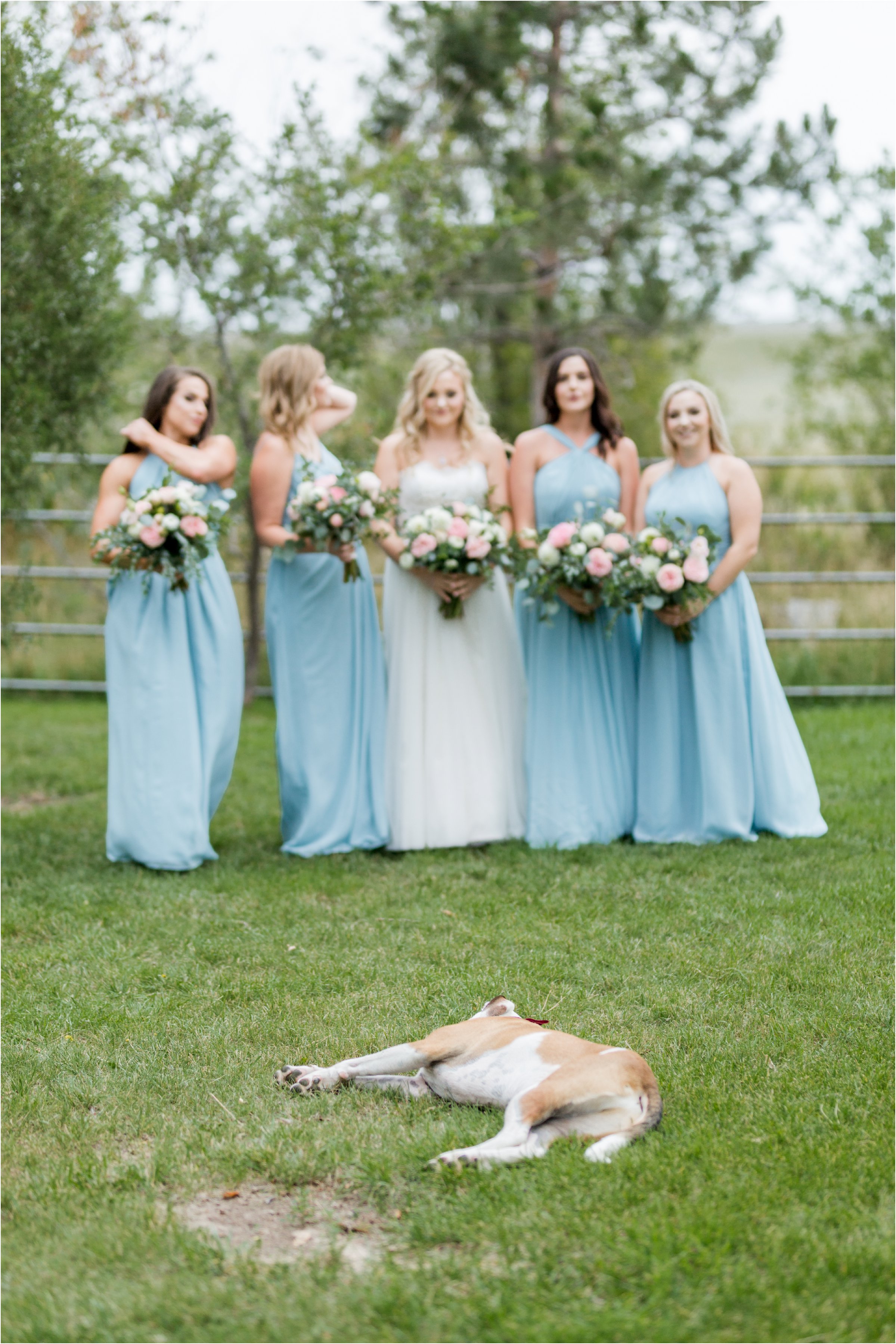 the bride and groom's dog lying on the ground in front of the bride and her bridesmaids