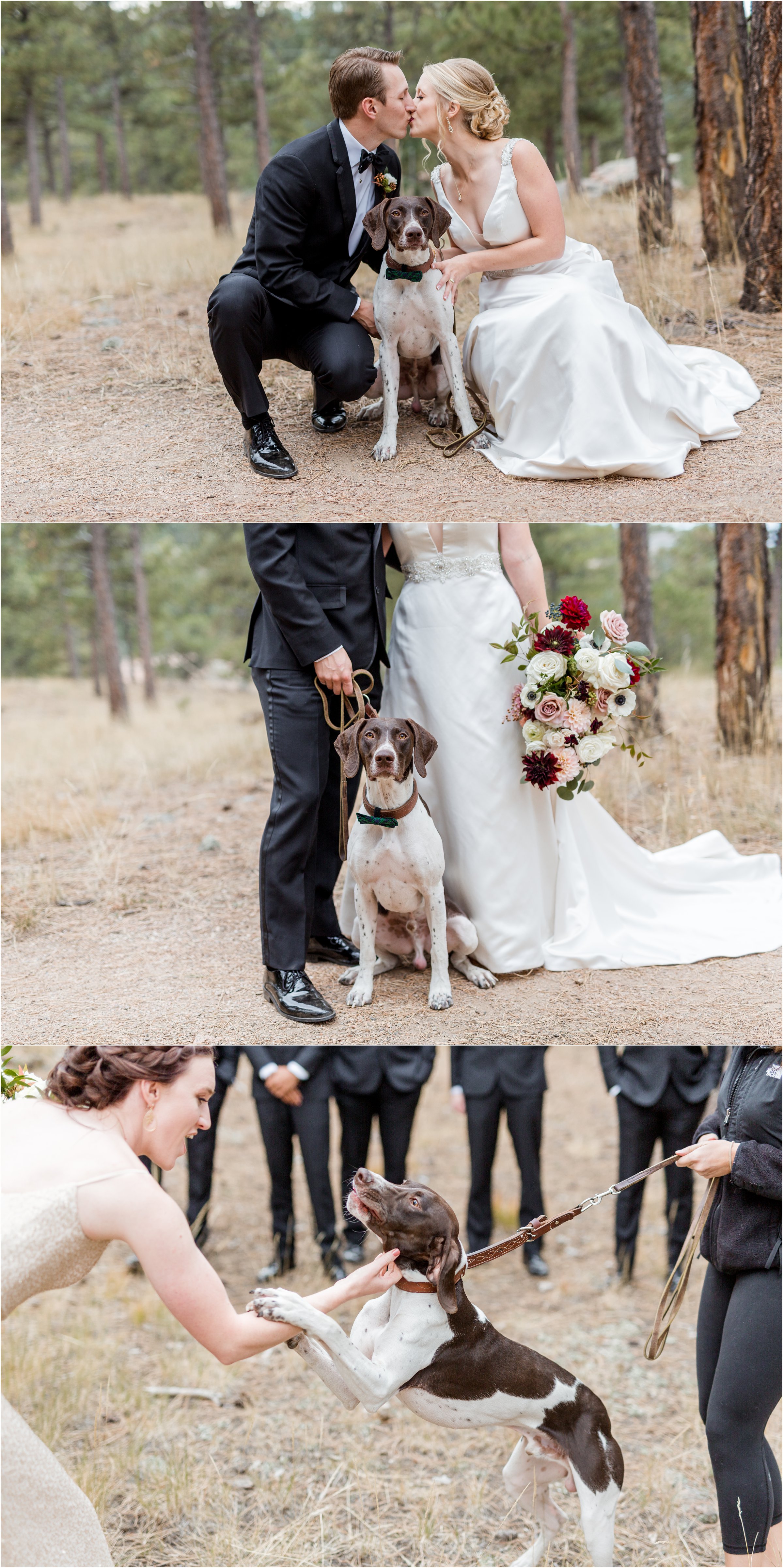 Golden, Colorado Wedding at Boettcher Mansion by Greeley, Colorado Engagement and Wedding Photographer