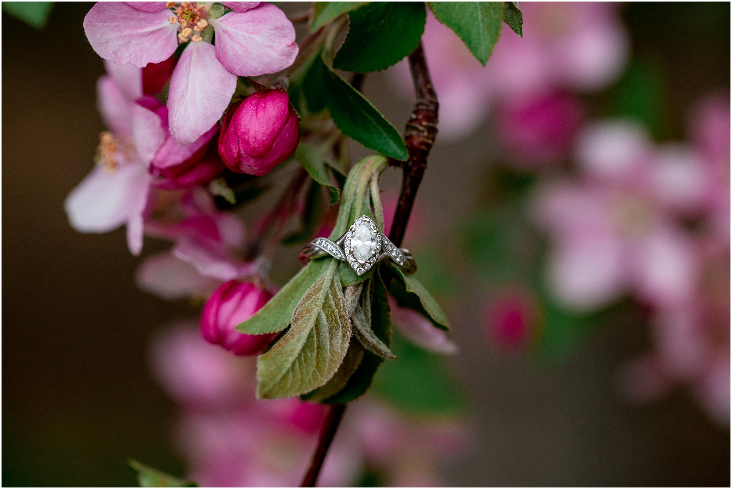 Engagement Session in Cheyenne Wyoming at Lions Park. Baseball themed with lots of flowers and blooming trees. 