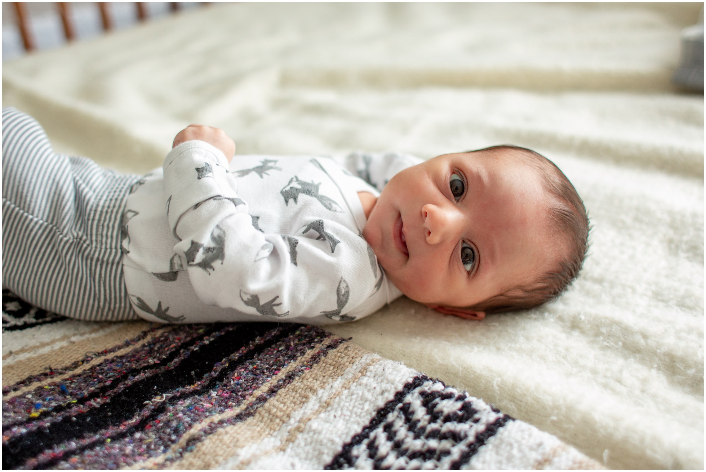 iowa lifestyle newborn photographer,iowa newborn photographer,sioux city lifestyle photographer,sioux city newborn,sioux city newborn photgrapher,sioux city photographer,