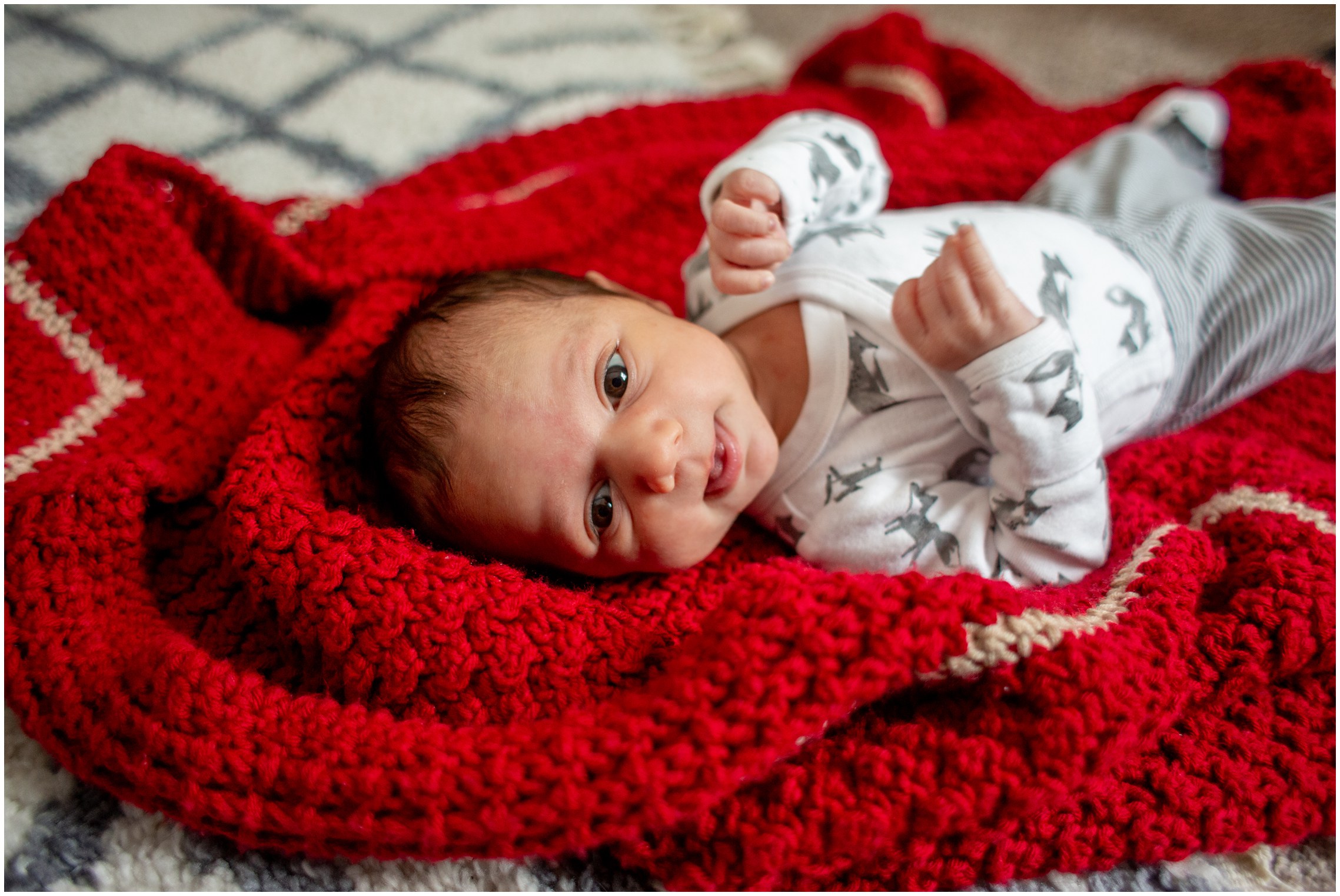 iowa lifestyle newborn photographer,iowa newborn photographer,sioux city lifestyle photographer,sioux city newborn,sioux city newborn photgrapher,sioux city photographer,