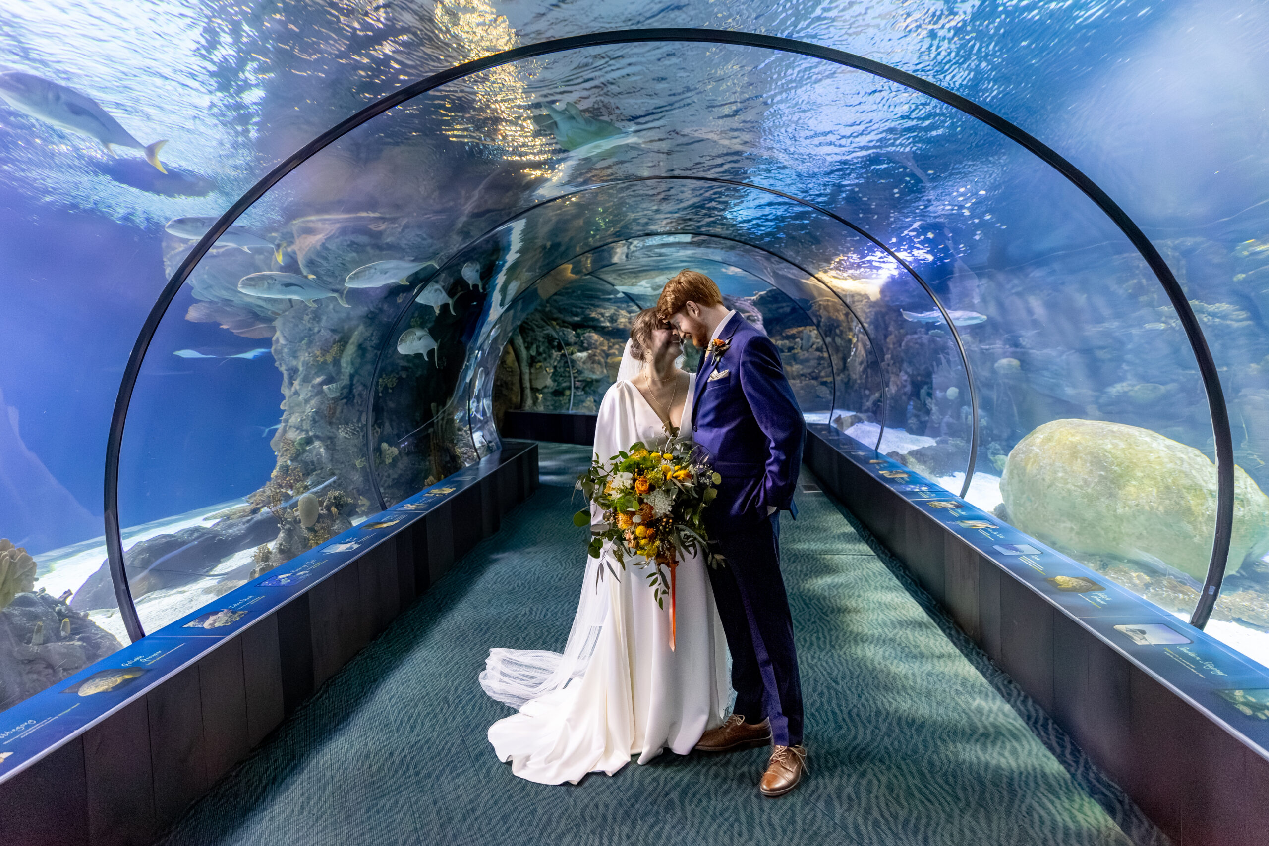 Winter wedding at the omaha henry doorly zoo by nebraska wedding photographer